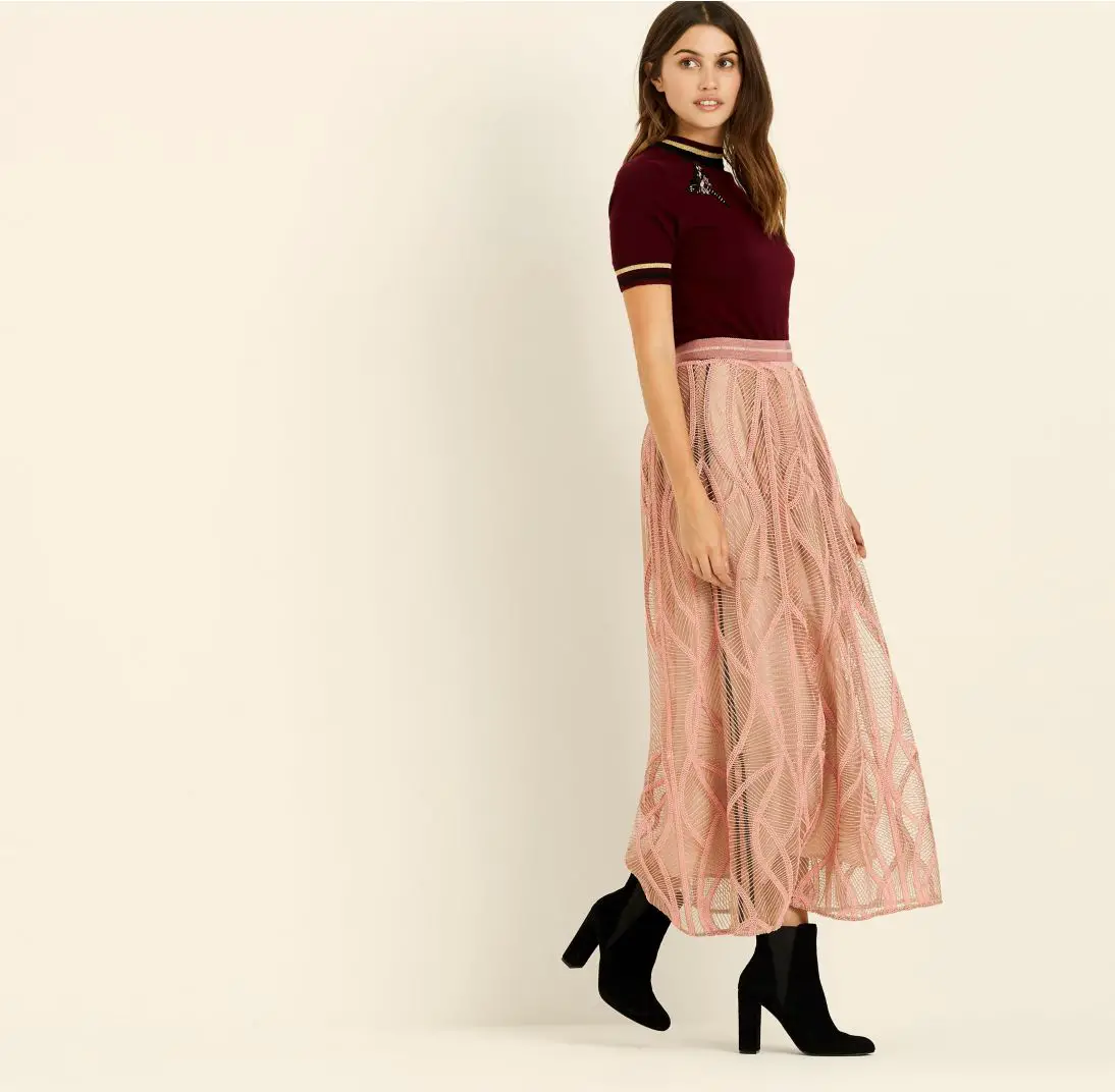 Blush Corded Embroidery Skirt